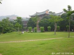 震旦法商学院