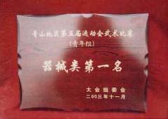 振东武术俱乐部