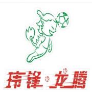 玮锋龙腾 玮锋龙腾