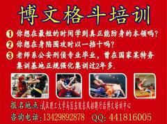 博文格斗 博文格斗