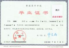 零起点教育 零起点教育