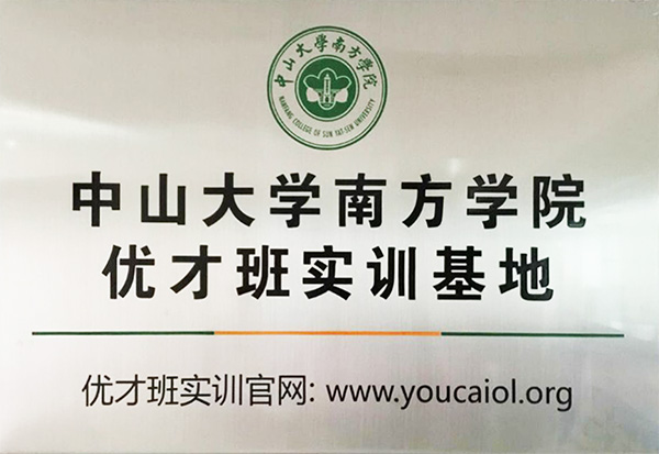 IT职业优才计划