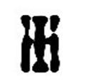 HI教育 HI教育