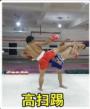 博极泰拳