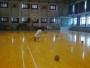 希星篮球培训中心