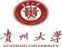 贵大职业资格认证考试