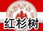 红杉树英语