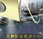 深洲职业培训中心