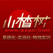 山楂树网页设计实