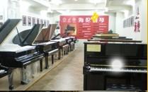 仙韵琴行 仙韵琴行