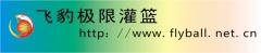 飞豹极限灌篮