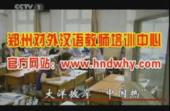 河南对外汉语教师 河南对外汉语教师