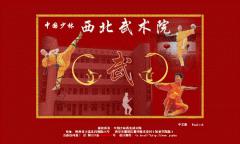 西北武院