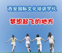 国际文化培训