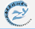 陕西中庸