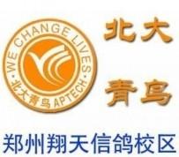 北大青鸟翔天