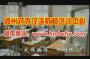 河南对外汉语教师