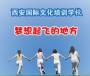 国际文化培训