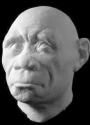 澳大利亚学生3D打印复制“霍比特人”头盖骨