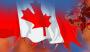 专家：加拿大新移民尽快入籍 防止被剥夺身份