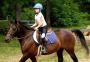 日本科学家：让孩子骑马有助于其学习表现