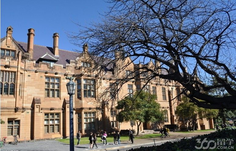 悉尼大学艺术学院中国留学生多吗