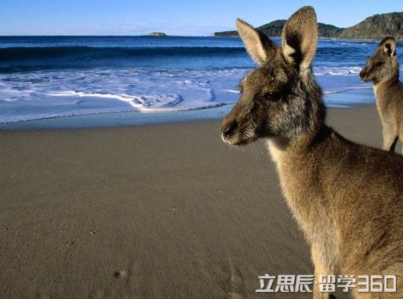 澳洲留学，澳大利亚留学转专业