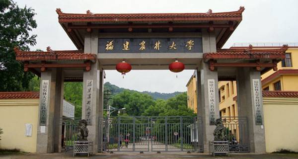 福建最好的大学排名_2017年福建省大学排名榜