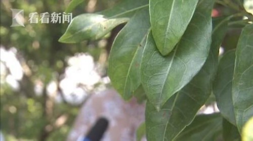 女大学生遇变态男约炮 拒绝后每天接50多个骚扰电话