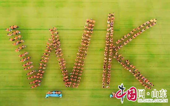 “泰•想和你在一起”卫康海外游学之旅圆满落幕（图）
