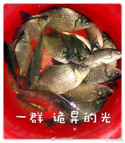 浙江高考阅读引热议 武汉高校另类惩罚引围观校园奇葩事大搜罗(图)
