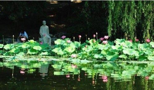 考研狗——清华大学里的“蚁族”和“鼠族”
