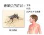 东南亚地区登革热进入高发期 暑期旅游当谨慎