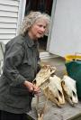 加拿大老妇独居孤岛40余年 与海豹野马为伴