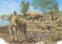 土著澳大利亚人 共存的巨型动物至少17000年