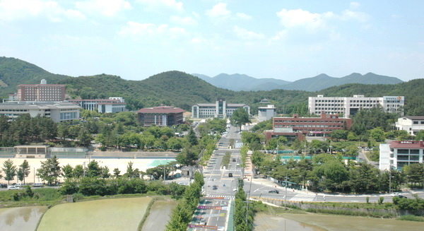 选校指南：韩国重点大学的优势专业汇总