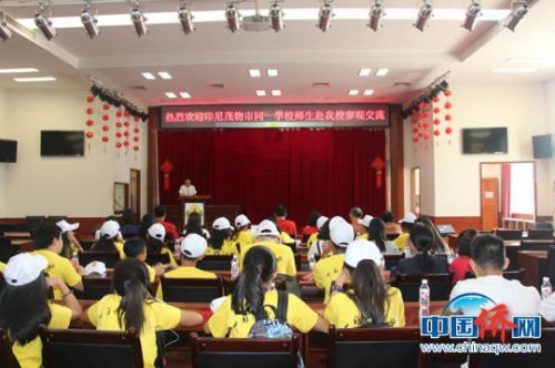 图为交流活动现场。 林浩 摄