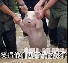 噫！原来广东靓妹钟意甘样的LOL男生！广东撸妹大数据调查！