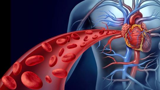 blood-flow-electricity-generation-1.jpg