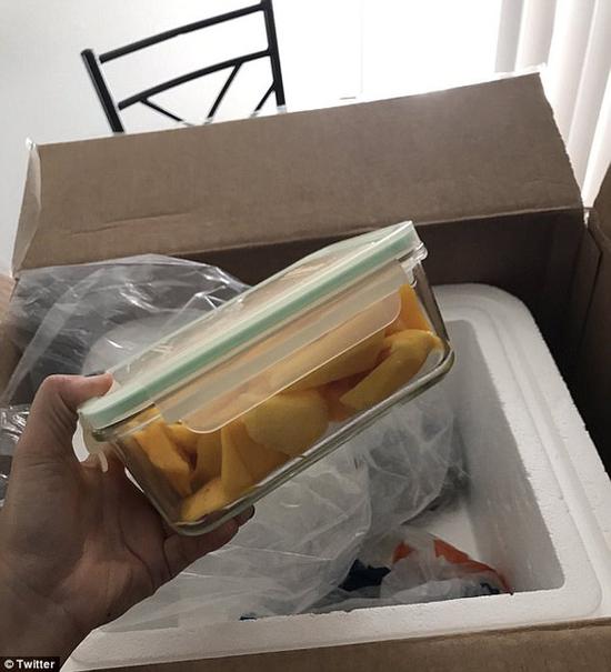 返校第二天，塞西莉亚收到了一个盛着冰块被泡沫塑料塞满的箱子，而那盒切好的芒果就在里面。