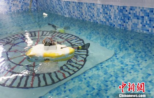 图为在中水游动的机器鱼。 徐雪 摄
