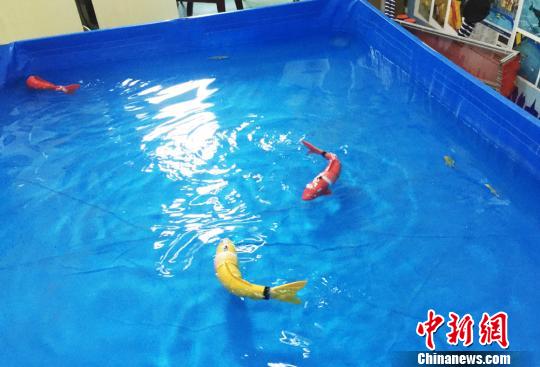 甘肃高校师生研发仿生机器鱼可应用多领域（图）