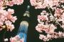 去日本留学，选择语言学校的六大指标