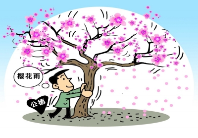 高校“樱花雨”折射城市“文明劫”