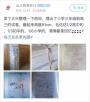 小学到高中要做多少份卷子？这位男生晒了张图