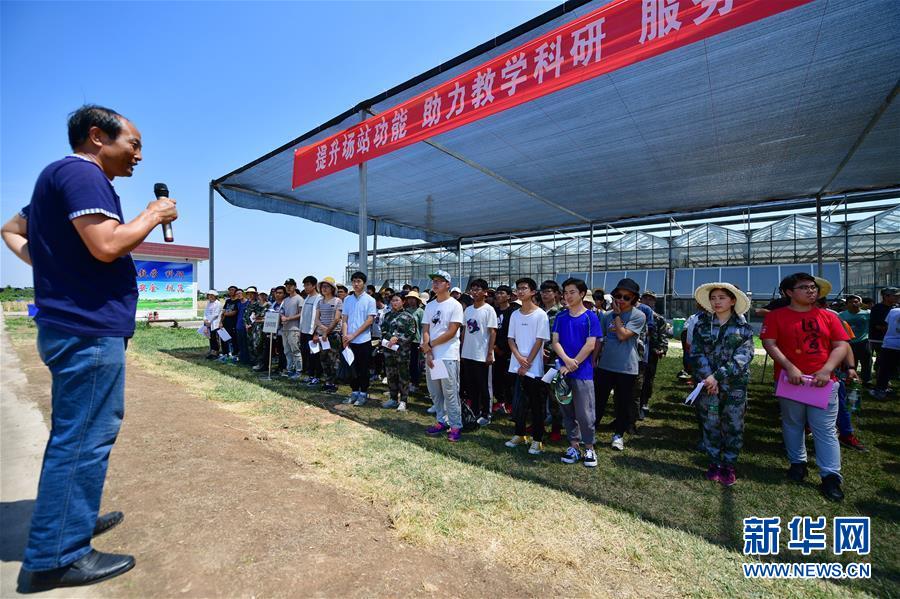 麦田里的大学课堂