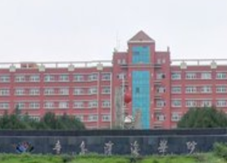 2019青岛滨海学院怎么样_专业排名评价好不好