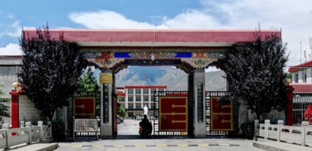 2020西藏藏医药大学研究生分数线预判（含2016-2019复试分数线）