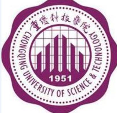 2020重庆科技学院重点专业及大学专业排名