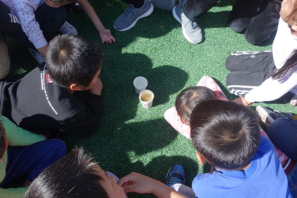  10月，四年级的学生在观察过滤装置。